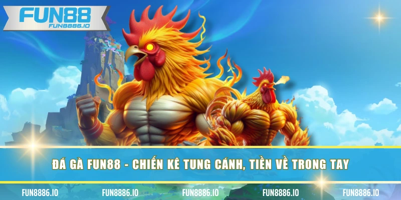 Đá Gà FUN88 - Chiến Kê Tung Cánh, Tiền Về Trong Tay