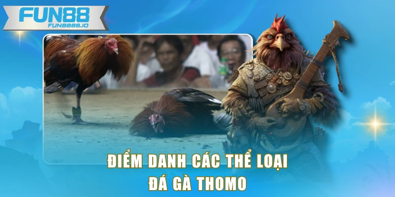 Điểm danh các thể loại đá gà Thomo