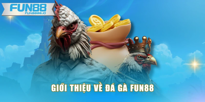 Giới thiệu về đá gà FUN88